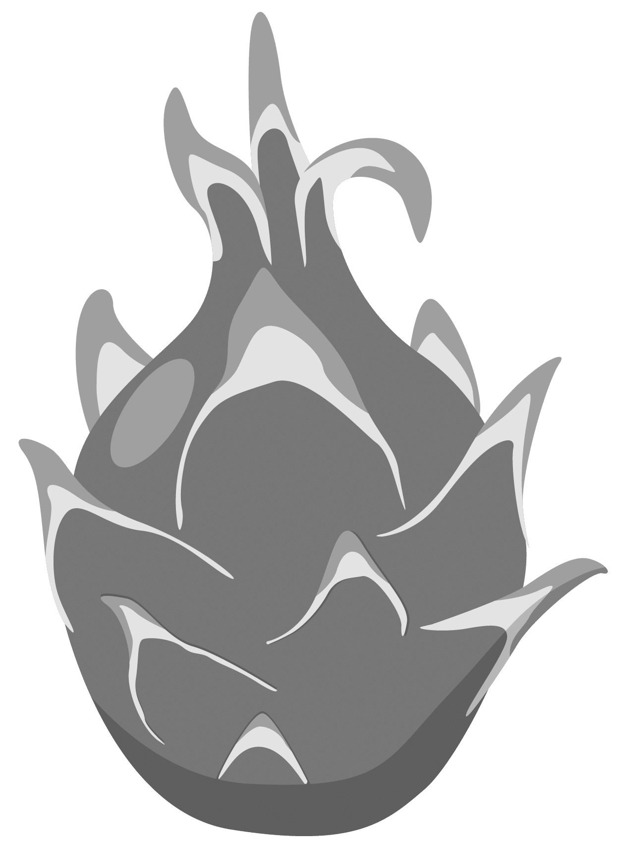 pitaya vector black and white